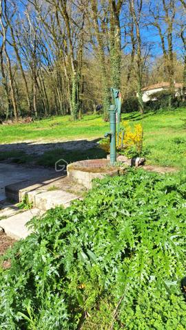 🏡 Coup de cœur – Maison avec grand terrain boisé à deux pas de la Charente – Voulême (86400)
Découvrez cette maison idéalement située au cœur du bourg pittoresque de Voulême, dans un environnement calme et verdoyant.
Elle offre 80 m² habitables et un superbe terrain de 2 360 m², parfait pour les amoureux de nature.

🌿 Un cadre de vie privilégié
Terrain composé d’un jardin de 460 m² et d’un bois privé de 1 900 m².

Grand hangar idéal pour stocker du bois ou aménager un espace de rangement.

Charmant chemin piéton permettant de rejoindre la Charente en quelques minutes.

🏠 La maison
Séjour lumineux équipé d’un insert.

Deux chambres avec accès direct au jardin.

Cuisine, salle d’eau, WC.

Garage attenant et grenier accessible depuis la cuisine.

Intérieur à rénover selon vos envies.

Façade récemment ravalée, un vrai plus pour l’extérieur.

📍 Localisation
À seulement quelques minutes de Civray et Ruffec, avec toutes les commodités : gare, écoles, commerces.
Un emplacement idéal pour une résidence principale ou une maison de vacances en Charente.