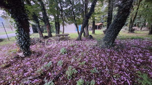 🏡 Coup de cœur – Maison avec grand terrain boisé à deux pas de la Charente – Voulême (86400)
Découvrez cette maison idéalement située au cœur du bourg pittoresque de Voulême, dans un environnement calme et verdoyant.
Elle offre 80 m² habitables et un superbe terrain de 2 360 m², parfait pour les amoureux de nature.

🌿 Un cadre de vie privilégié
Terrain composé d’un jardin de 460 m² et d’un bois privé de 1 900 m².

Grand hangar idéal pour stocker du bois ou aménager un espace de rangement.

Charmant chemin piéton permettant de rejoindre la Charente en quelques minutes.

🏠 La maison
Séjour lumineux équipé d’un insert.

Deux chambres avec accès direct au jardin.

Cuisine, salle d’eau, WC.

Garage attenant et grenier accessible depuis la cuisine.

Intérieur à rénover selon vos envies.

Façade récemment ravalée, un vrai plus pour l’extérieur.

📍 Localisation
À seulement quelques minutes de Civray et Ruffec, avec toutes les commodités : gare, écoles, commerces.
Un emplacement idéal pour une résidence principale ou une maison de vacances en Charente.
