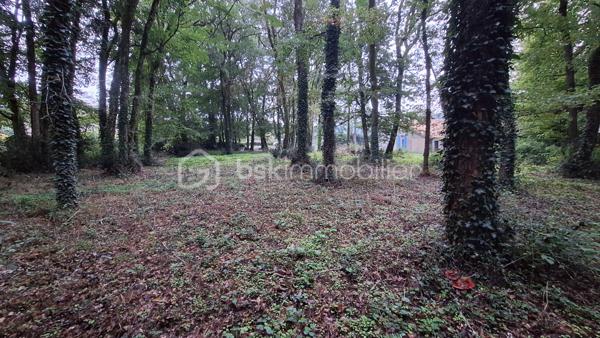 🏡 Coup de cœur – Maison avec grand terrain boisé à deux pas de la Charente – Voulême (86400)
Découvrez cette maison idéalement située au cœur du bourg pittoresque de Voulême, dans un environnement calme et verdoyant.
Elle offre 80 m² habitables et un superbe terrain de 2 360 m², parfait pour les amoureux de nature.

🌿 Un cadre de vie privilégié
Terrain composé d’un jardin de 460 m² et d’un bois privé de 1 900 m².

Grand hangar idéal pour stocker du bois ou aménager un espace de rangement.

Charmant chemin piéton permettant de rejoindre la Charente en quelques minutes.

🏠 La maison
Séjour lumineux équipé d’un insert.

Deux chambres avec accès direct au jardin.

Cuisine, salle d’eau, WC.

Garage attenant et grenier accessible depuis la cuisine.

Intérieur à rénover selon vos envies.

Façade récemment ravalée, un vrai plus pour l’extérieur.

📍 Localisation
À seulement quelques minutes de Civray et Ruffec, avec toutes les commodités : gare, écoles, commerces.
Un emplacement idéal pour une résidence principale ou une maison de vacances en Charente.