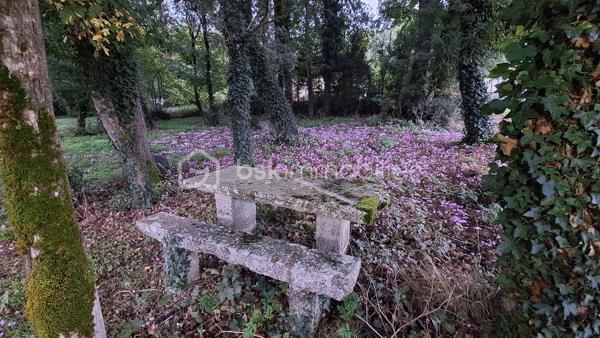 🏡 Coup de cœur – Maison avec grand terrain boisé à deux pas de la Charente – Voulême (86400)
Découvrez cette maison idéalement située au cœur du bourg pittoresque de Voulême, dans un environnement calme et verdoyant.
Elle offre 80 m² habitables et un superbe terrain de 2 360 m², parfait pour les amoureux de nature.

🌿 Un cadre de vie privilégié
Terrain composé d’un jardin de 460 m² et d’un bois privé de 1 900 m².

Grand hangar idéal pour stocker du bois ou aménager un espace de rangement.

Charmant chemin piéton permettant de rejoindre la Charente en quelques minutes.

🏠 La maison
Séjour lumineux équipé d’un insert.

Deux chambres avec accès direct au jardin.

Cuisine, salle d’eau, WC.

Garage attenant et grenier accessible depuis la cuisine.

Intérieur à rénover selon vos envies.

Façade récemment ravalée, un vrai plus pour l’extérieur.

📍 Localisation
À seulement quelques minutes de Civray et Ruffec, avec toutes les commodités : gare, écoles, commerces.
Un emplacement idéal pour une résidence principale ou une maison de vacances en Charente.