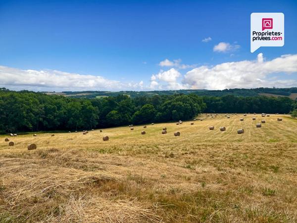 Ancienne ferme avec 2 maisons - étable - séchoir - 2 hangars - 22 hectares