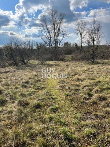 Opportunité rare pour investisseurs ou lotisseurs !