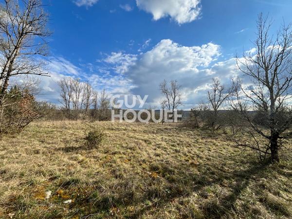 Opportunité rare pour investisseurs ou lotisseurs !