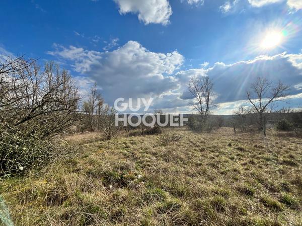 Opportunité rare pour investisseurs ou lotisseurs !