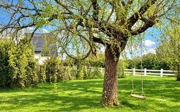 Maison à vendre    5 pièces •  Plougasnou