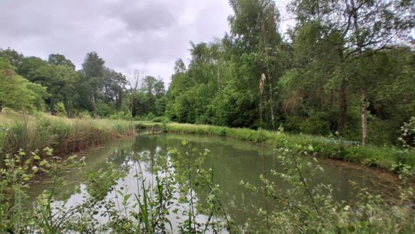 ETANG