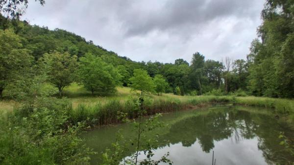 ETANG