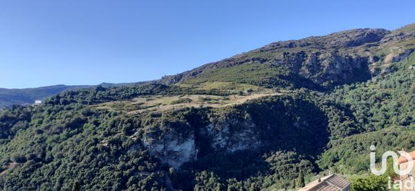 Maison à vendre 11 pièces 280 m² Santo-Pietro-di-Tenda