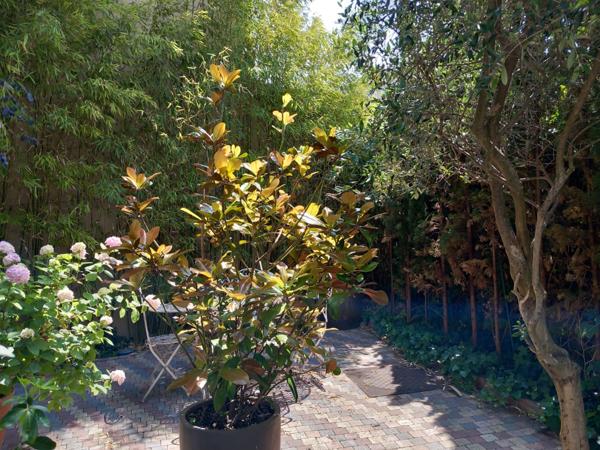 Puteaux (92800) Puteaux / Les Bergères - Triplex d'exception, climatisé, avec jardin privatif, garage et emplacement de parkin