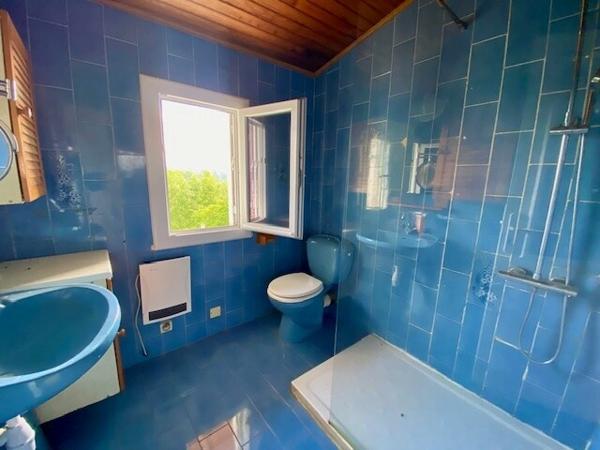 Valence sur Baïse / Grande maison de ville lumineuse avec jardin