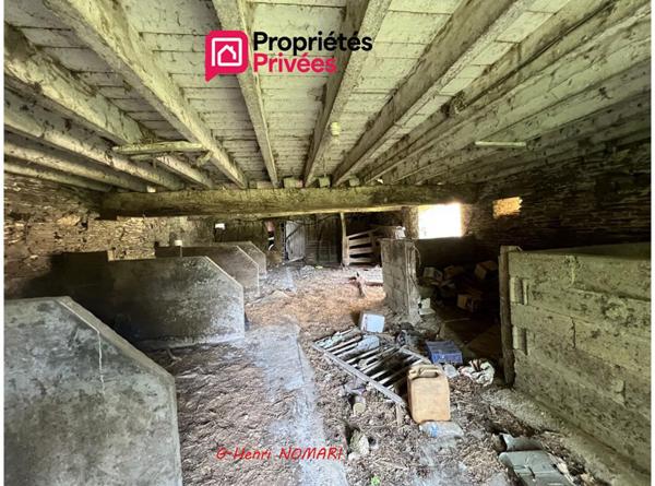 Maison La Chapelle Glain 6 pièce(s) 160 m2 - 200m² de bâtiments, terrain de 2111m²