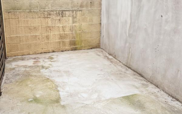 Maison à louer    2 pièces •  Palavas-les-Flots