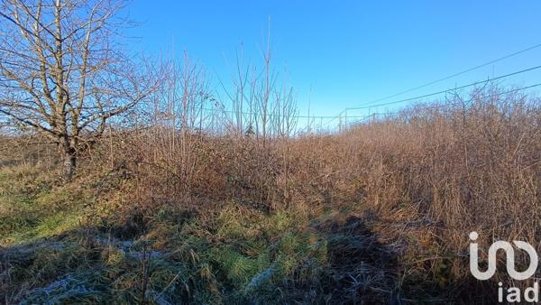 Maison à vendre 2 pièces 32 m² Pruniers