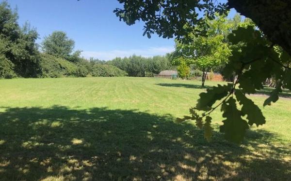 Maison à vendre    8 pièces •  Nègrepelisse