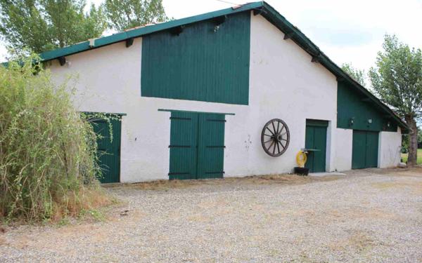 Maison à vendre    8 pièces •  Nègrepelisse