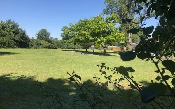 Maison à vendre    8 pièces •  Nègrepelisse