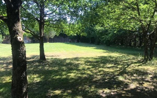 Maison à vendre    8 pièces •  Nègrepelisse