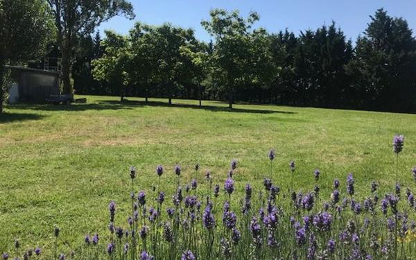 Maison à vendre    8 pièces •  Nègrepelisse