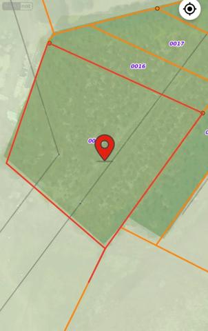 Achat - Terrain de loisirs, bois, étangs Yvré-l'Évêque 72530 24506 m 2