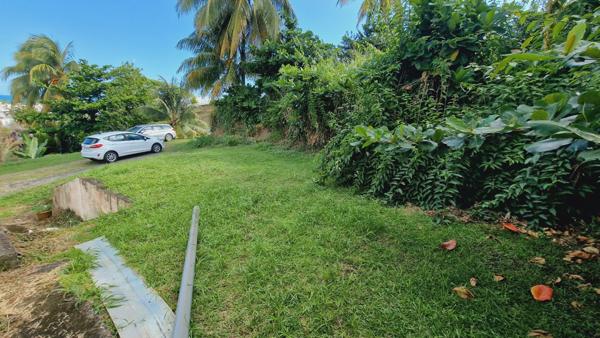 Immeuble à SAINTE MARIE (97230)