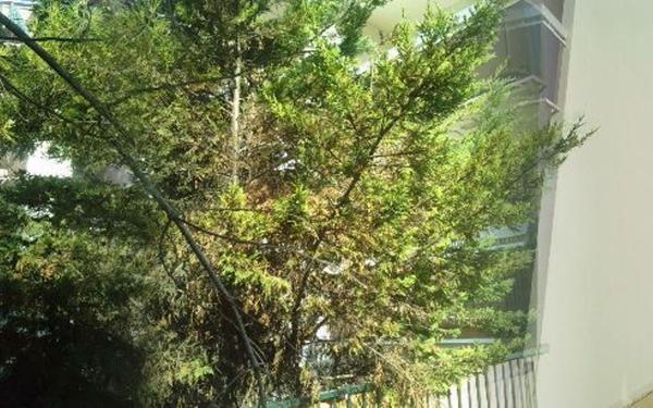 Appartement à louer    1 pièce • 23 m2 Montpellier