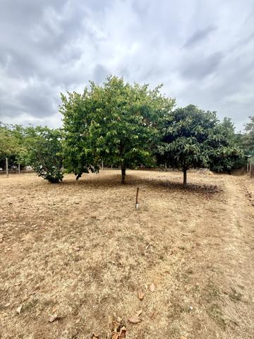 Terrain
        
        - 1500 m² 279 000 € *