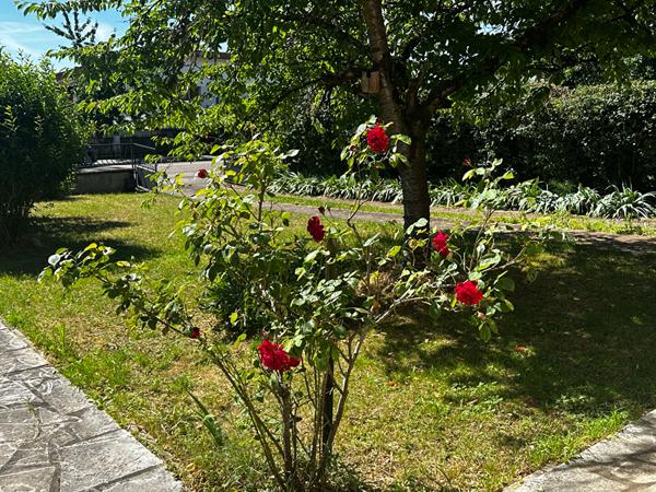 SAULXURES LES NANCY - Maison familiale de 167 m2