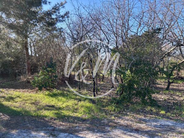 EXCLUSIVITE-Terrain à vendre Cassy-Terrain constructible viabilisé de plus de 1000 m² divisible à Cassy Lanton proche Bassin écoles et commodités LANTON CASSY