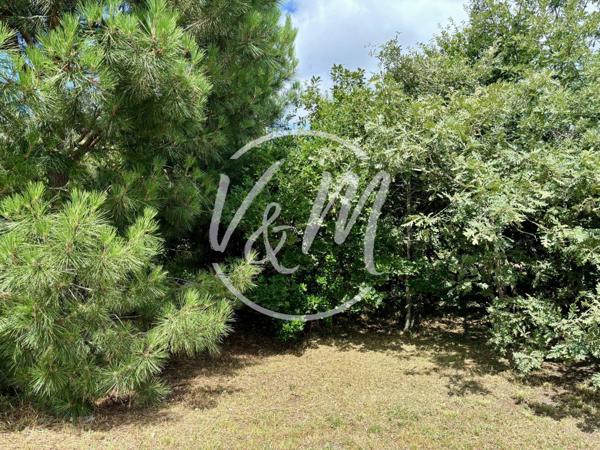 EXCLUSIVITE-Terrain à vendre Cassy-Terrain constructible viabilisé de plus de 1000 m² divisible à Cassy Lanton proche Bassin écoles et commodités LANTON CASSY