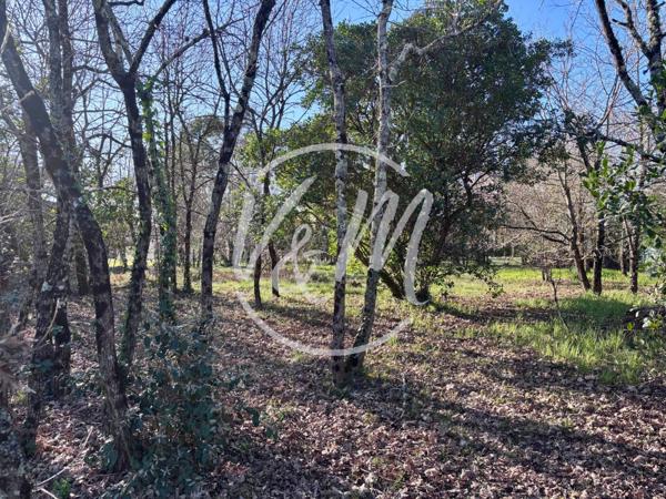 EXCLUSIVITE-Terrain à vendre Cassy-Terrain constructible viabilisé de plus de 1000 m² divisible à Cassy Lanton proche Bassin écoles et commodités LANTON CASSY