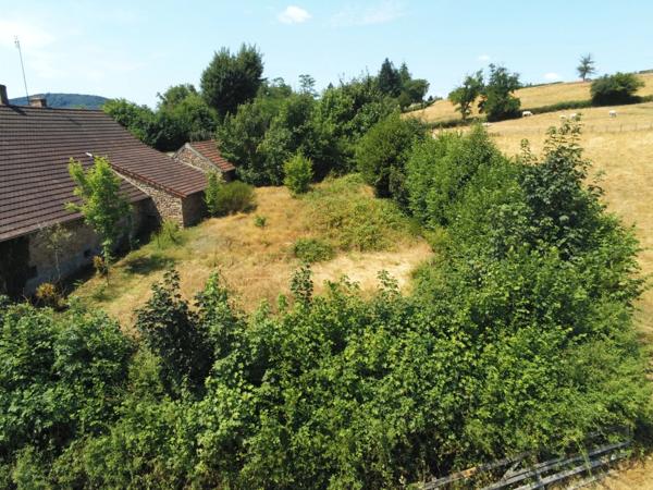 Maison à rénover 5 pièces / 110m² SUIN (71) Terrain de 4714m²