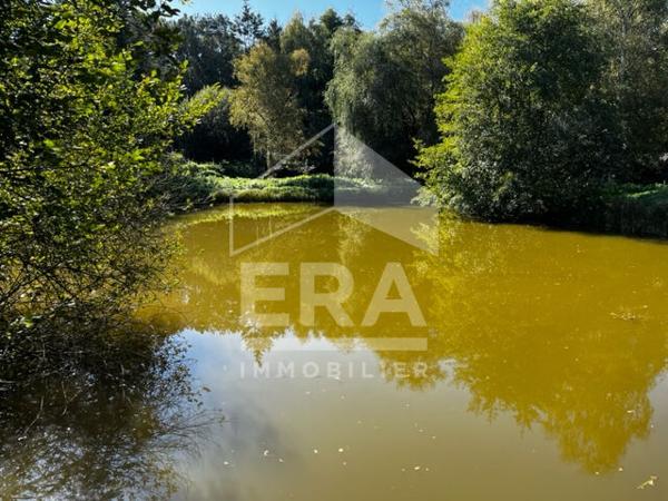 Terrain de loisirs - Etang à Volnay