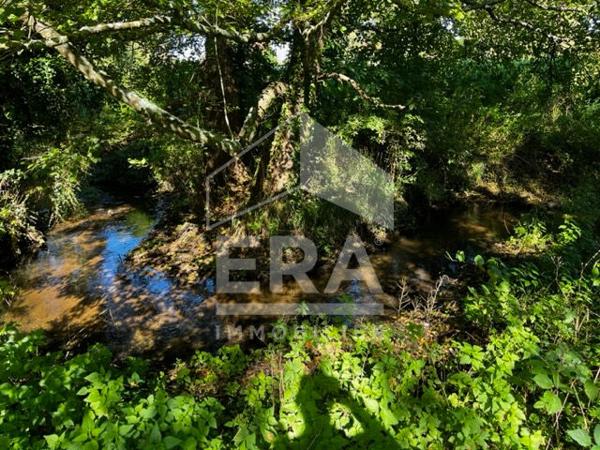 Terrain de loisirs - Etang à Volnay