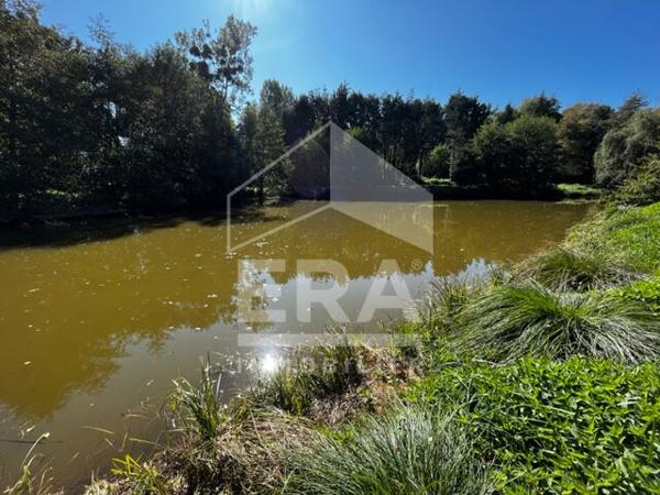 Terrain de loisirs - Etang à Volnay