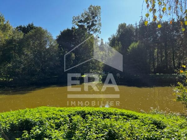 Terrain de loisirs - Etang à Volnay