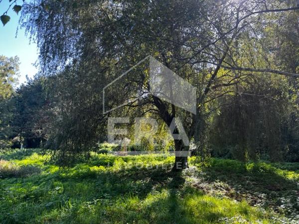Terrain de loisirs - Etang à Volnay