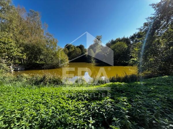 Terrain de loisirs - Etang à Volnay