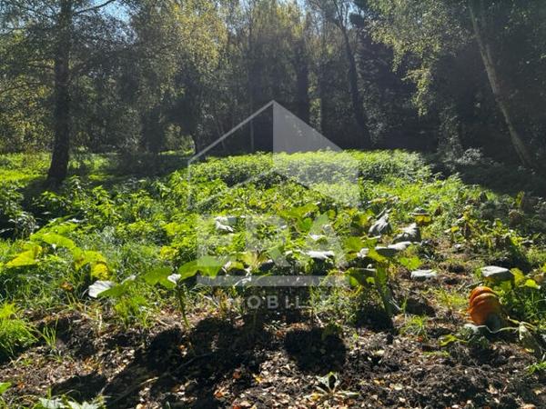 Terrain de loisirs - Etang à Volnay