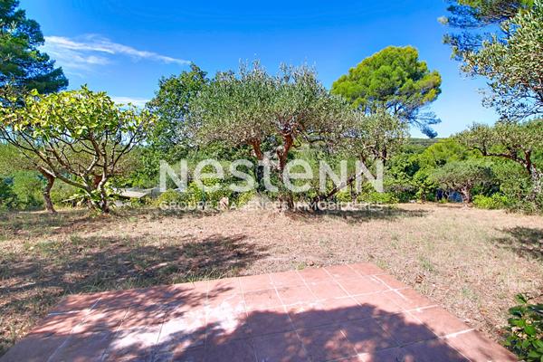À VENDRE ! SALERNES ! TERRAIN CONSTRUCTIBLE DE 1 680 m² CLOS AVEC OLIVIERS