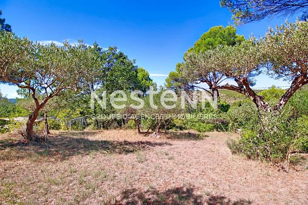 À VENDRE ! SALERNES ! TERRAIN CONSTRUCTIBLE DE 1 680 m² CLOS AVEC OLIVIERS