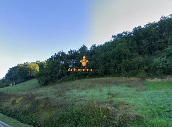 Vente Terrain 2700 m2 à Villecomtal-sur-Arros