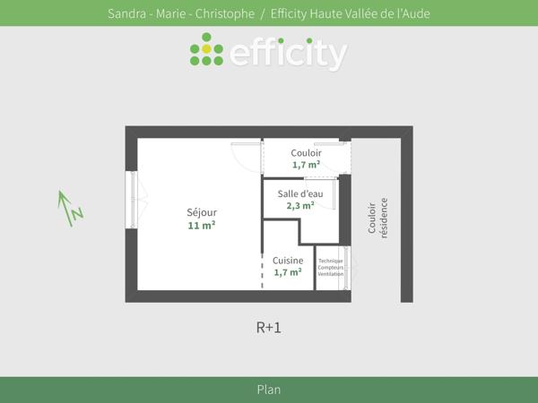 Appartement 1 pièce - 17 m² Exclusivité