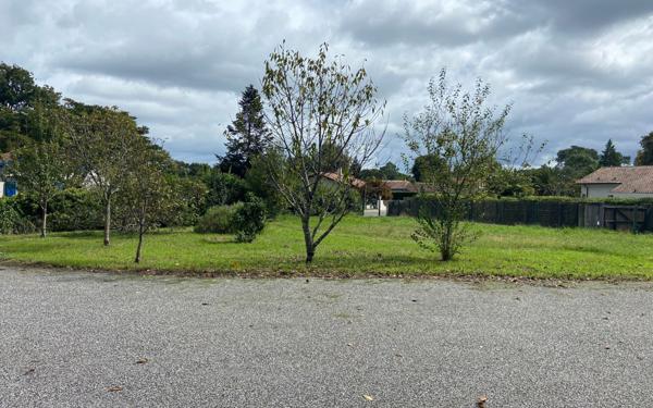 Terrain à vendre    Saint-Martin-de-Seignanx