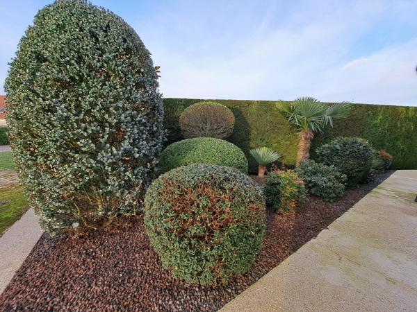 Pavillon de plain-pied