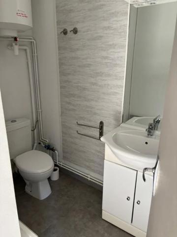 Appartement à louer à Nancy (54000)