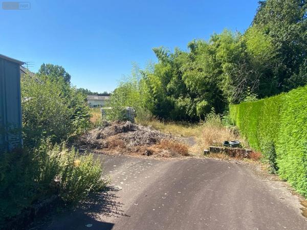 Achat - Maison | Maison Saint-Georges-de-Reintembault 35420 3 pièces 82 m 2 1981 m 2