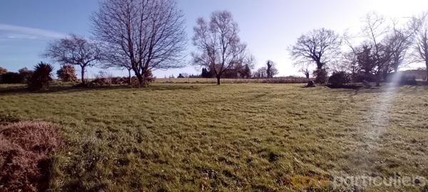 Location Maison80 m² - 4 Pièces - LANGUIDIC (56440)