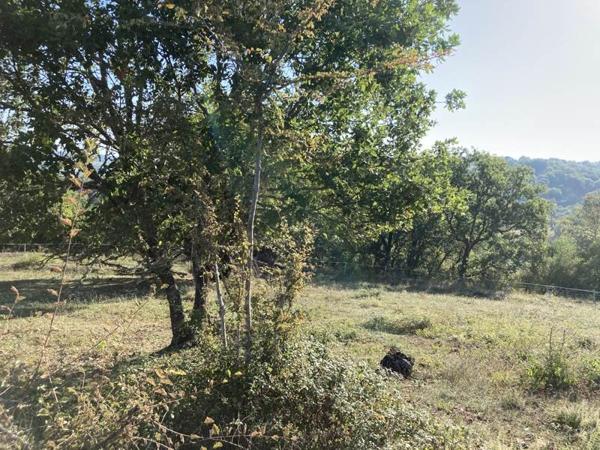 Terrain à vendre |  La Bachellerie |  1666 m²