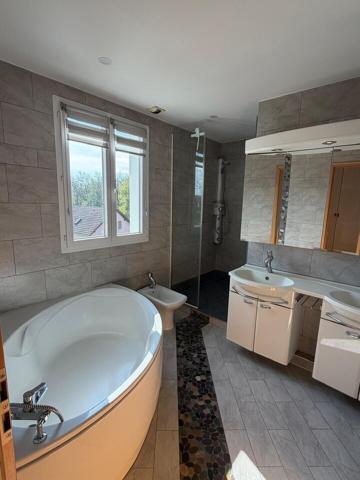 Dannemarie, duplex de 147 m² de type F5 240 000 €