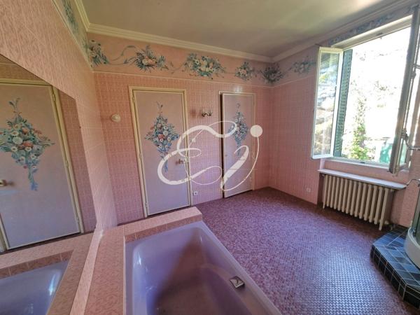 VENTE RILLIEUX LA PAPE 69140 - MAISON DE CHARME 1930 5 CHAMBRES AVEC GRAND JARDIN ARBORE - A RENOVER - POTENTI